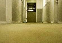 clean office carpet 