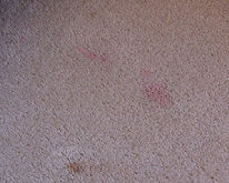 spots and stains on carpet